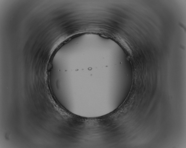 X0000093090944200710171135