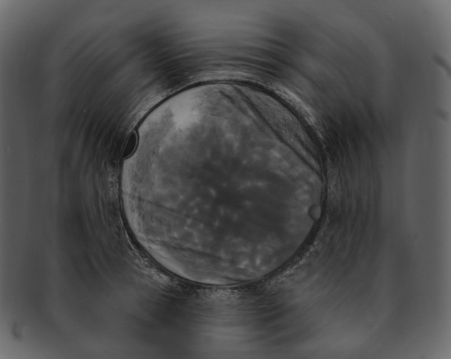 X0000093090945200710171135