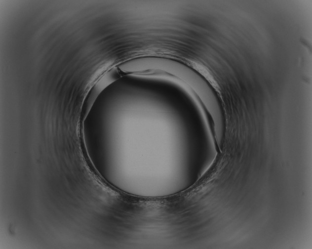 X0000093090946200710171135