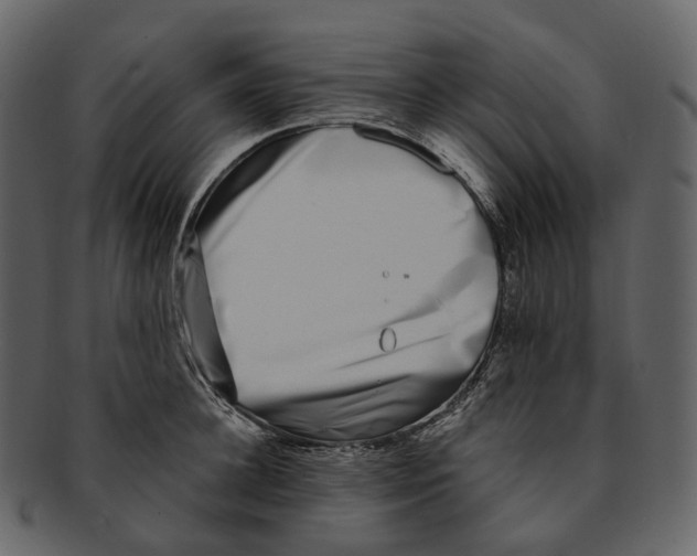 X0000093090948200710171135