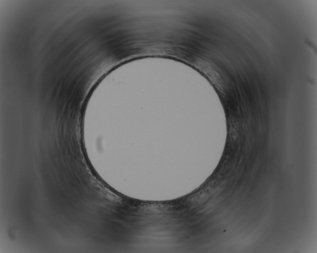 X0000093090950200710171135