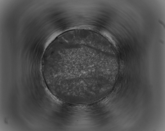 X0000093090952200710171135