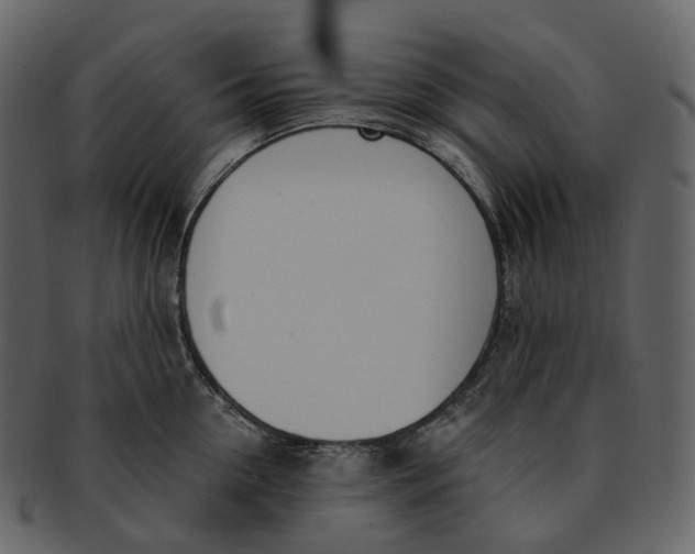 X0000093090954200710171135