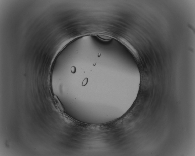 X0000093090956200710171135