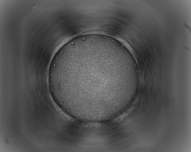 X0000093090957200710171135