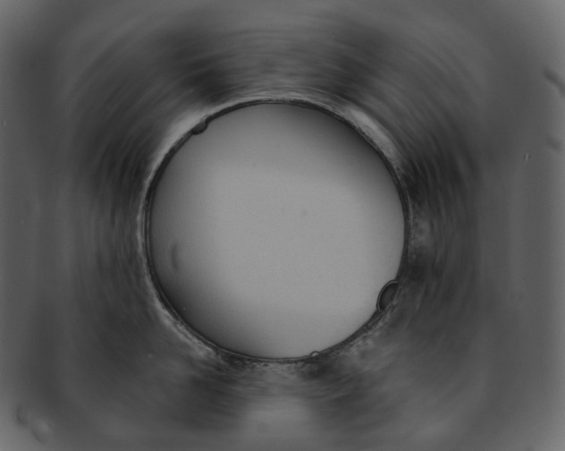 X0000093090958200710171135