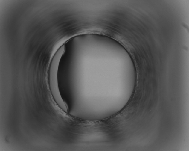 X0000093090960200710171135