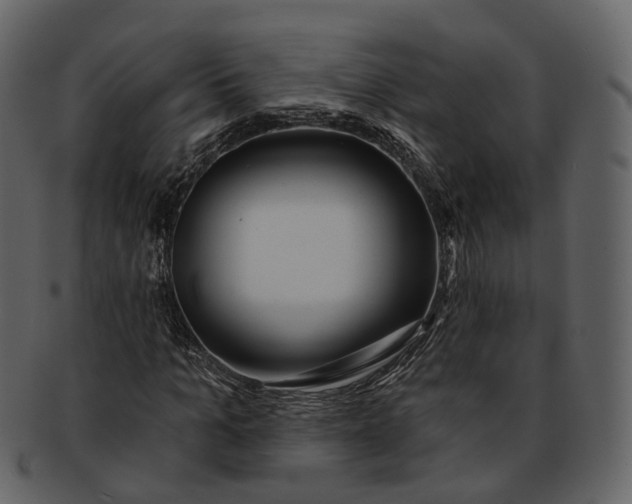 X0000093090965200710171134