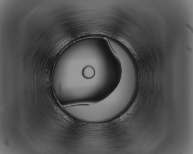 X0000093090977200710171134