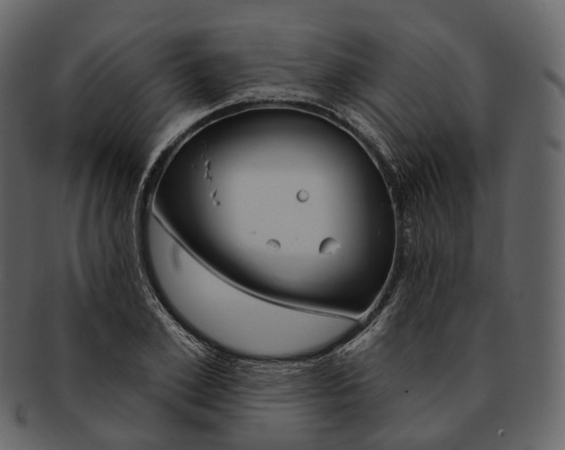 X0000093090981200710171134