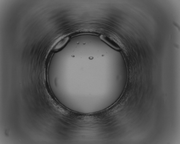 X0000093090984200710171134