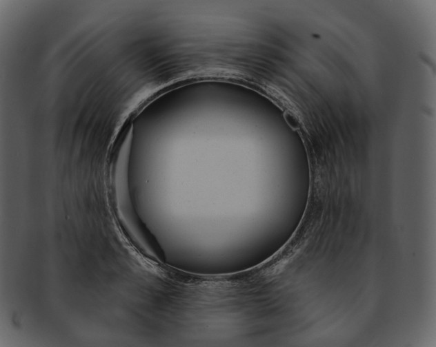 X0000093090989200710171134