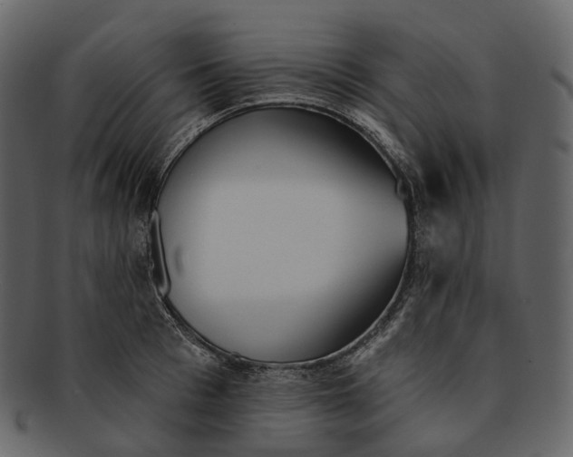 X0000093090993200710171134