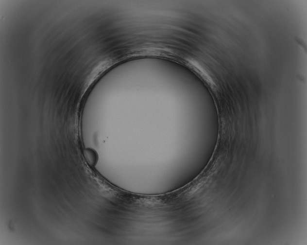 X0000093090994200710171134