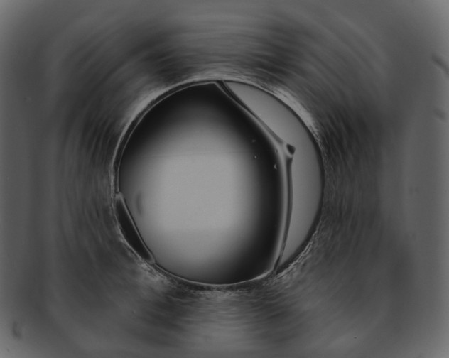 X0000093090996200710171134