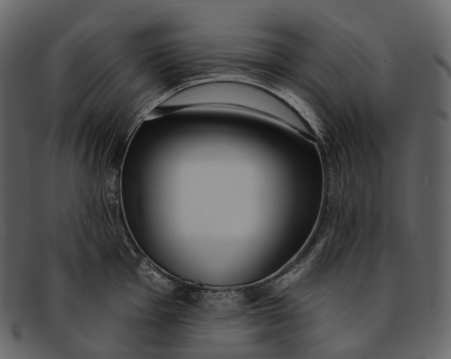 X0000093091001200710171133