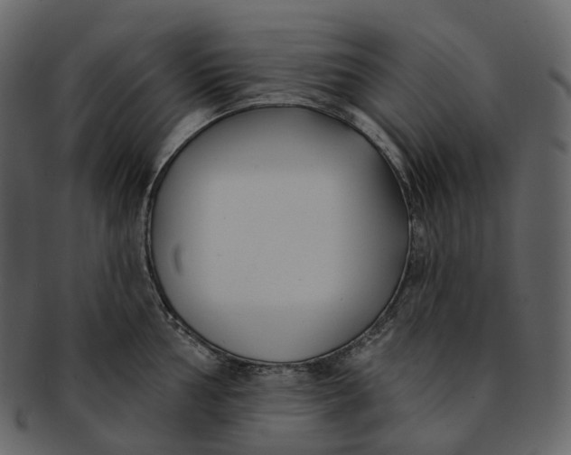 X0000093091002200710171133