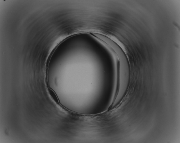 X0000093091005200710171133