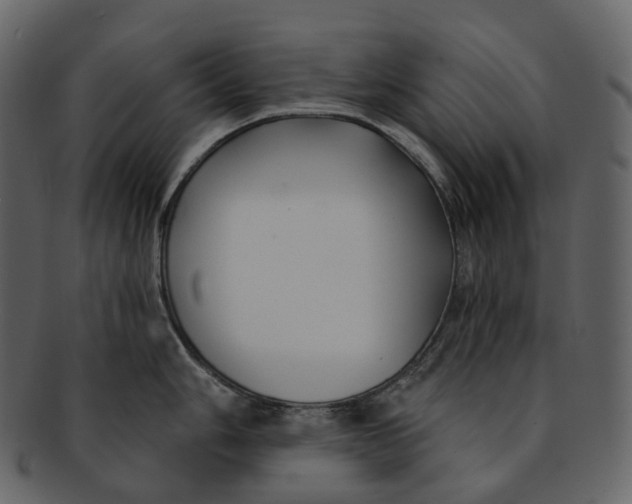 X0000093091006200710171133