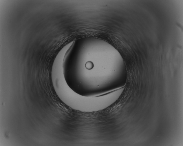 X0000093091010200710171133