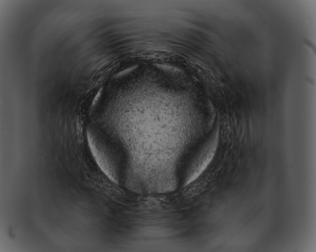 X0000093091013200710171133