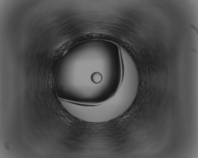 X0000093091014200710171133