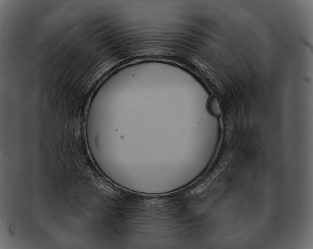 X0000093091017200710171133