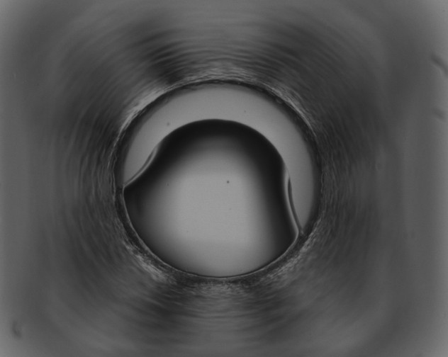 X0000093091018200710171133