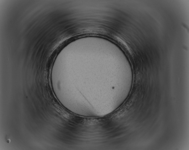 X0000093091019200710171133