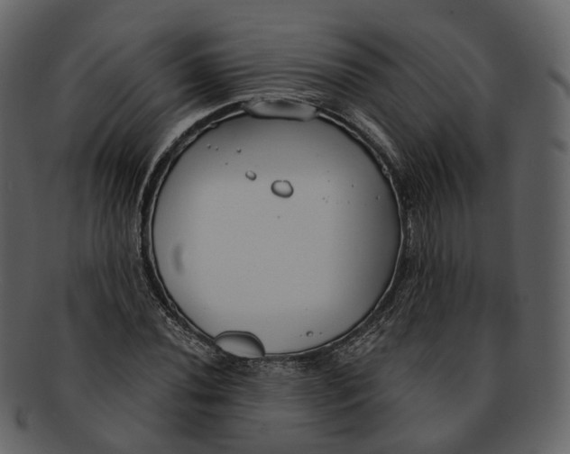 X0000093091020200710171133