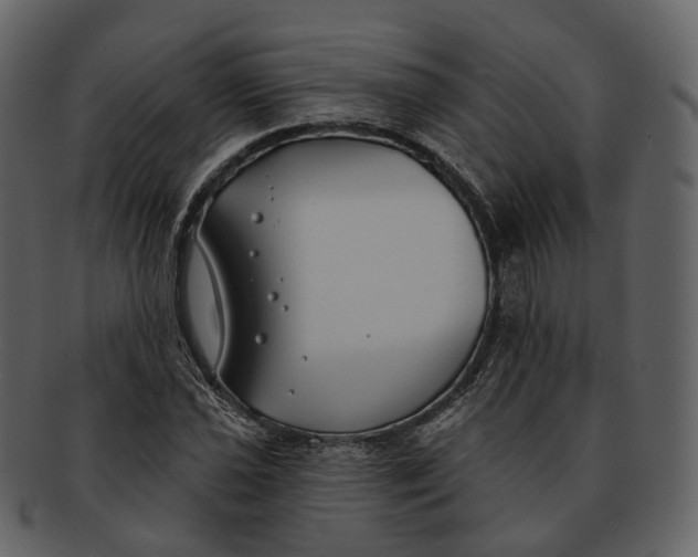 X0000093091021200710171133