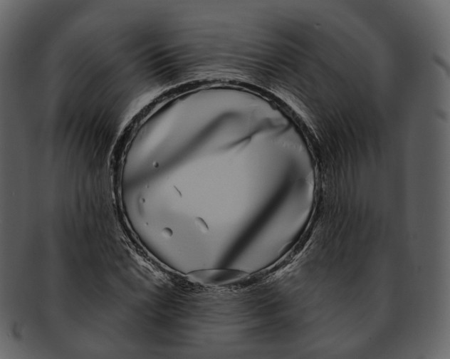 X0000093091022200710171133