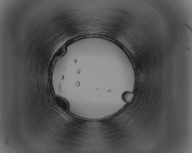 X0000093091023200710171133