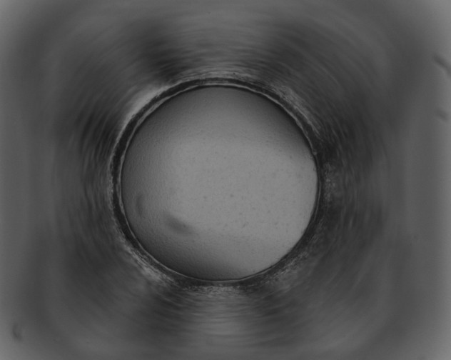 X0000093091024200710171133