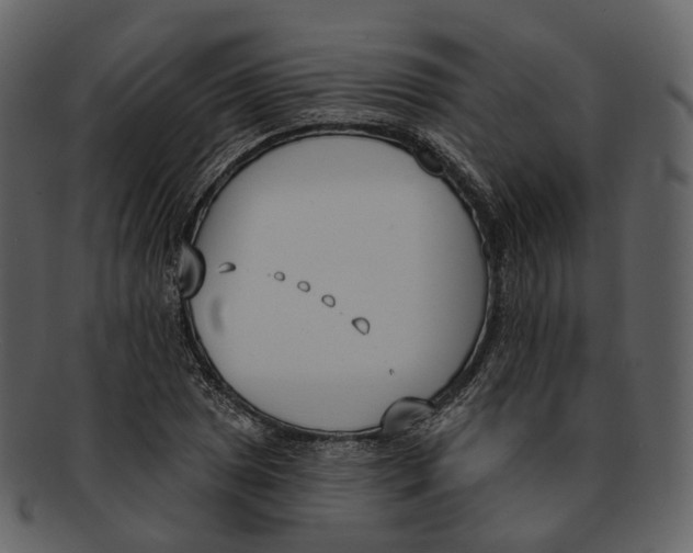 X0000093091025200710171133