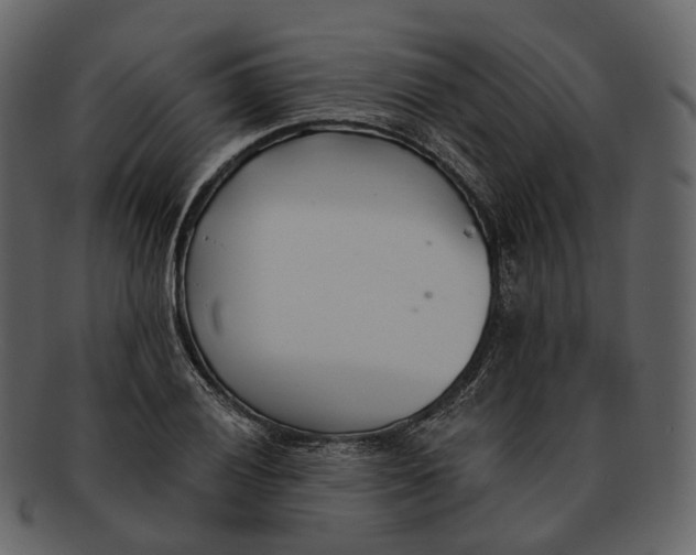 X0000093091028200710171133