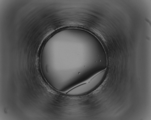 X0000093091029200710171133