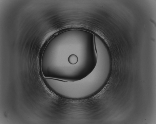 X0000093091030200710171133