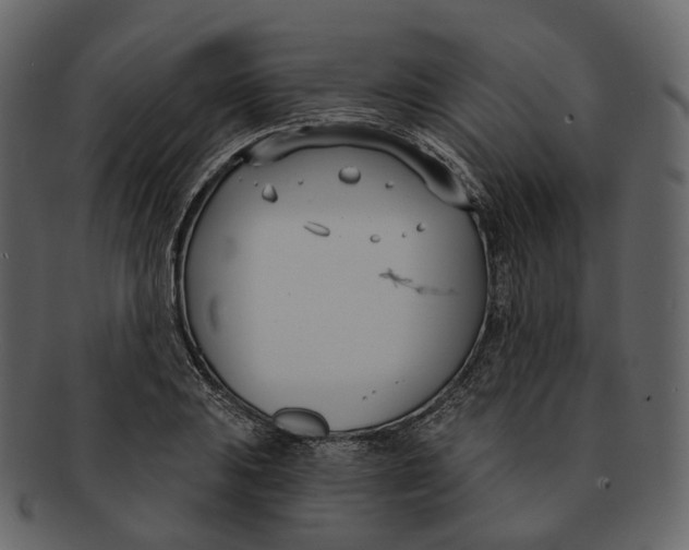 X0000093091031200710171133