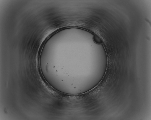 X0000093091032200710171133