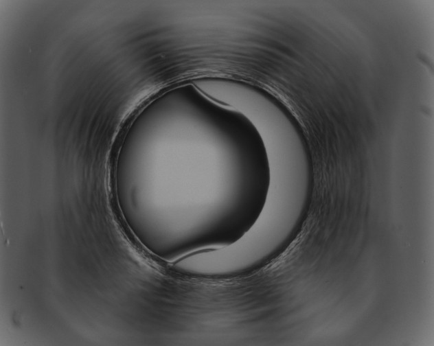 X0000093091034200710171133