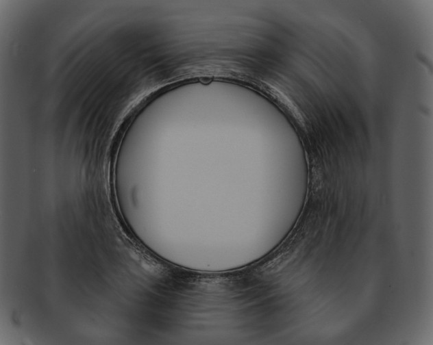 X0000093091035200710171133