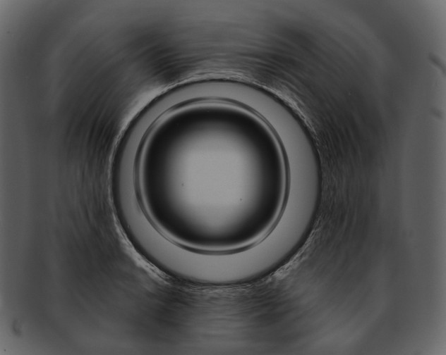 X0000093091038200710171133