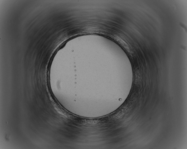 X0000093091039200710171133