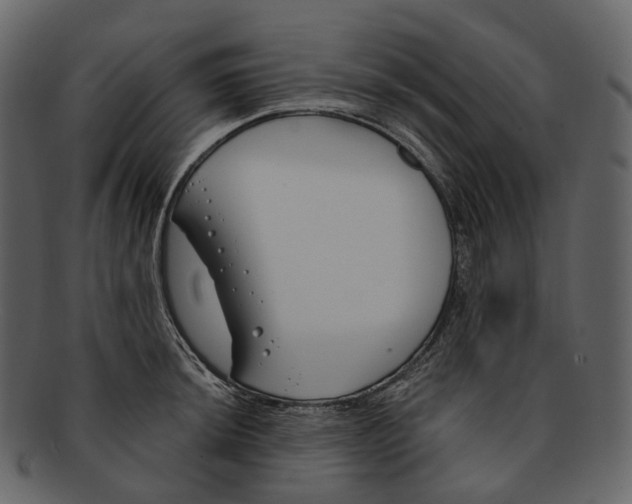 X0000093091044200710171133