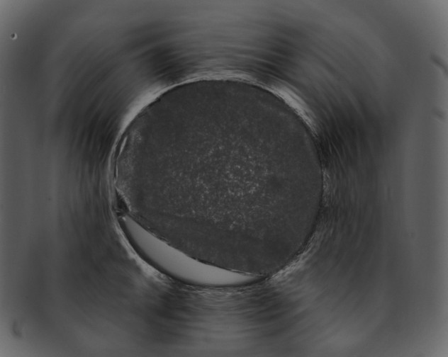 X0000093091046200710171133