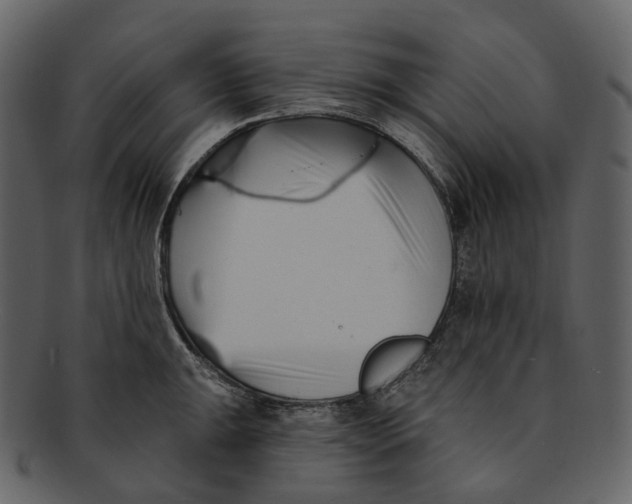 X0000093091047200710171133