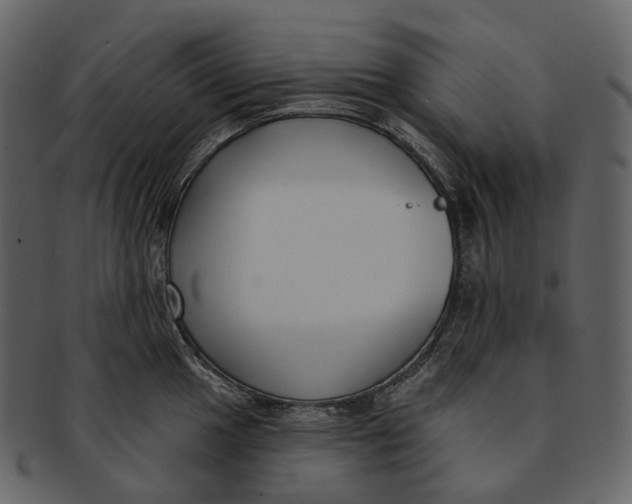 X0000093091049200710171133