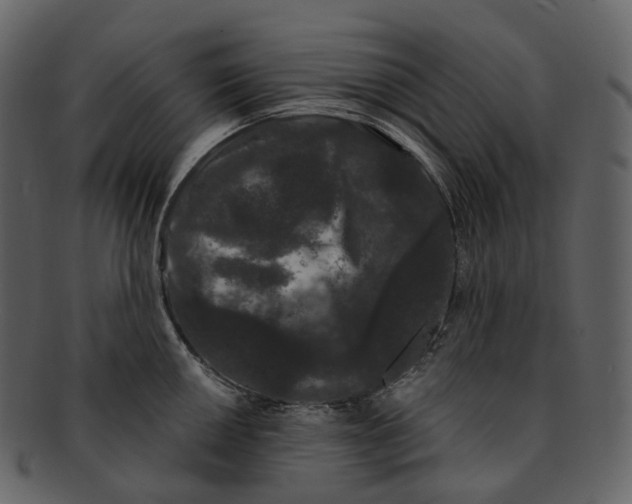 X0000093091050200710171133