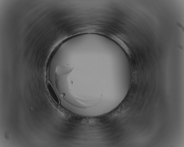 X0000093091051200710171133